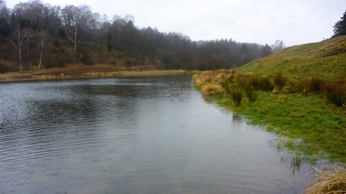 Fiskevand 150325 milldam3