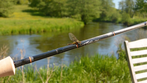 150605 gudenaa danica