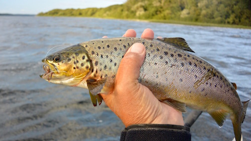 150615 Mariager demo1