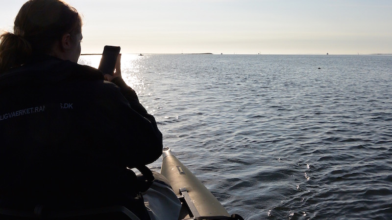 150809 randers fjord maja panduro seal