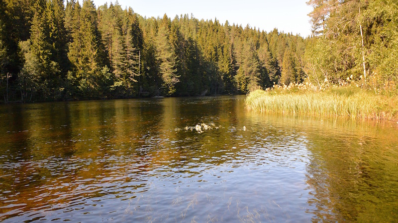 150819 deset upstream