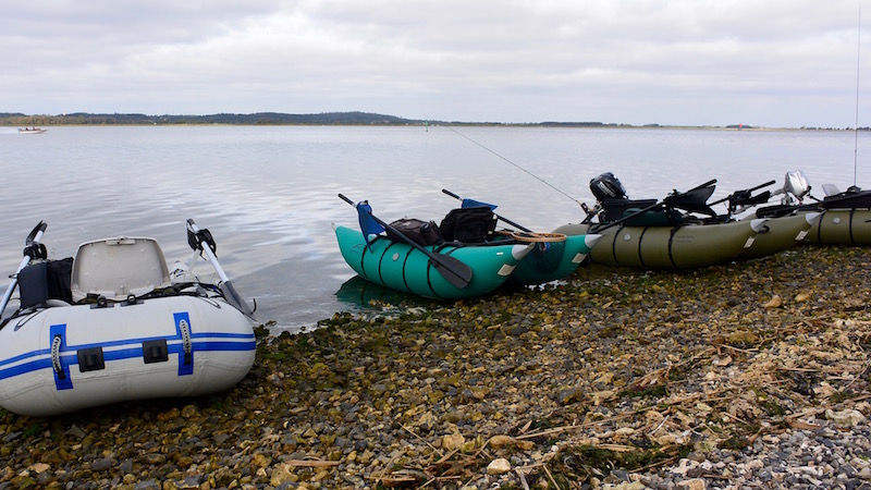 Pontonbåde på Stenrevet 151003 Randers Fjord stenrevet pontoons