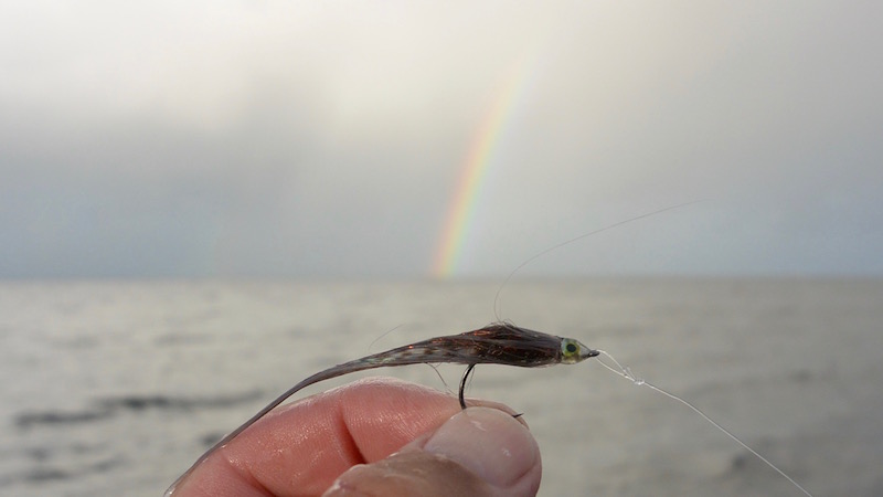 151114 ponton x streamer