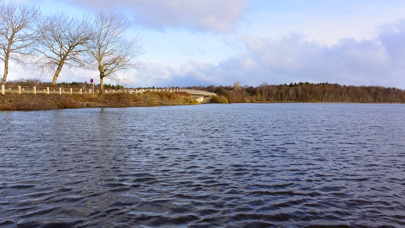 Tange Sø 151122 tange opklaring