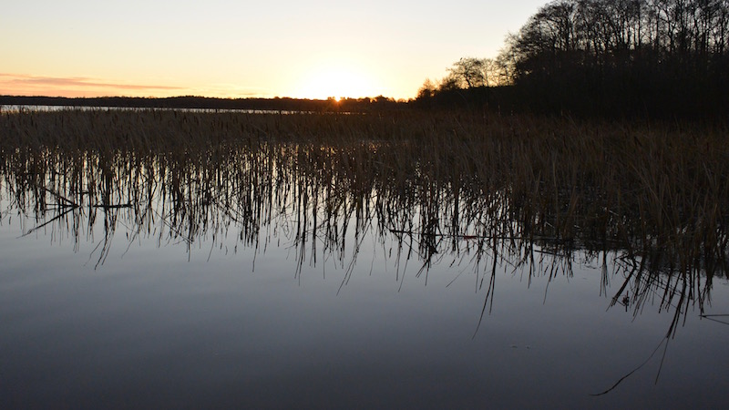 Solopgang 151213 tange sol op