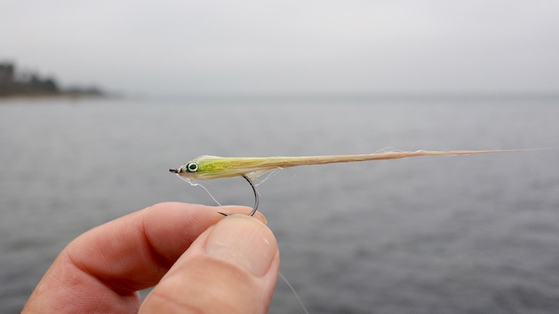 X-streamer 151219 esby xstreamer