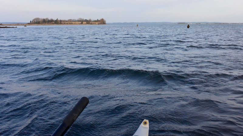 Horsens Fjord 151220 horsens fjord1