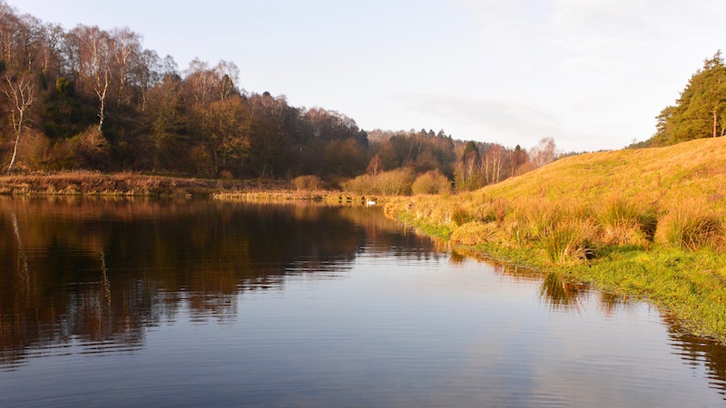 Ørredsøen 160101 milldamm