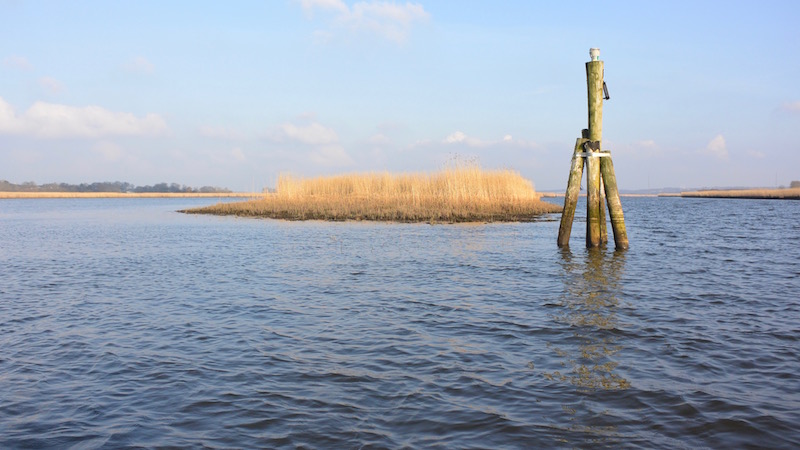 Dronningborg Bredning 160309 bredningen trae hest