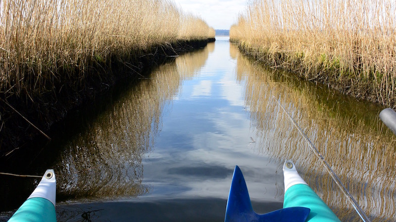 Randers Fjord ved Bode 160318 Bode Randers fjord kanal