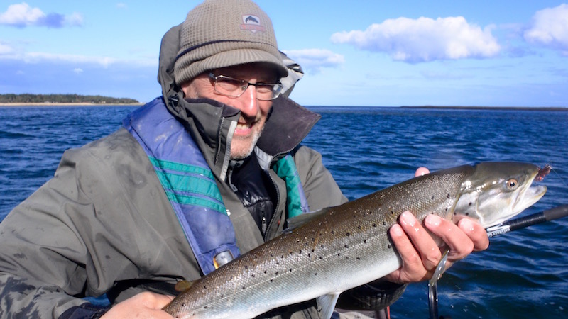 Havørred fra Randers Fjord 160408 udbyhoj slank retur