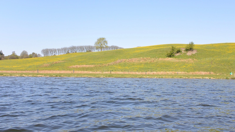 Forår 160508 glenstrup spring