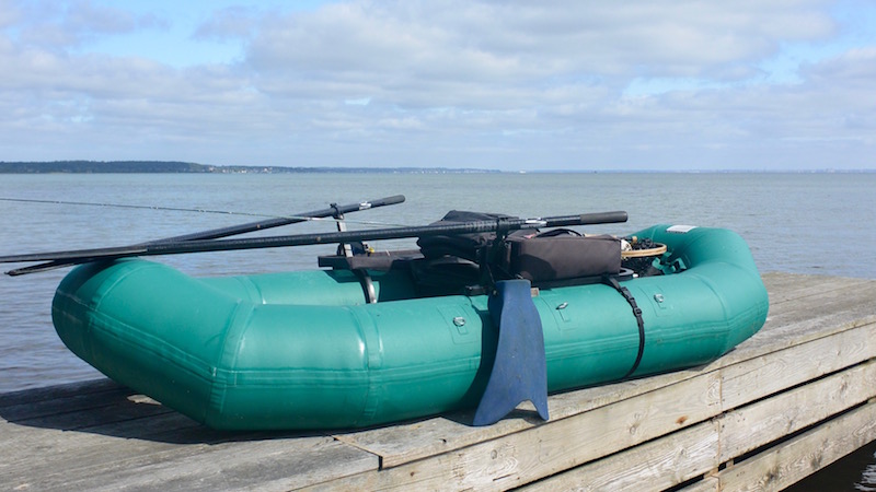 160815 oeresund mosquito