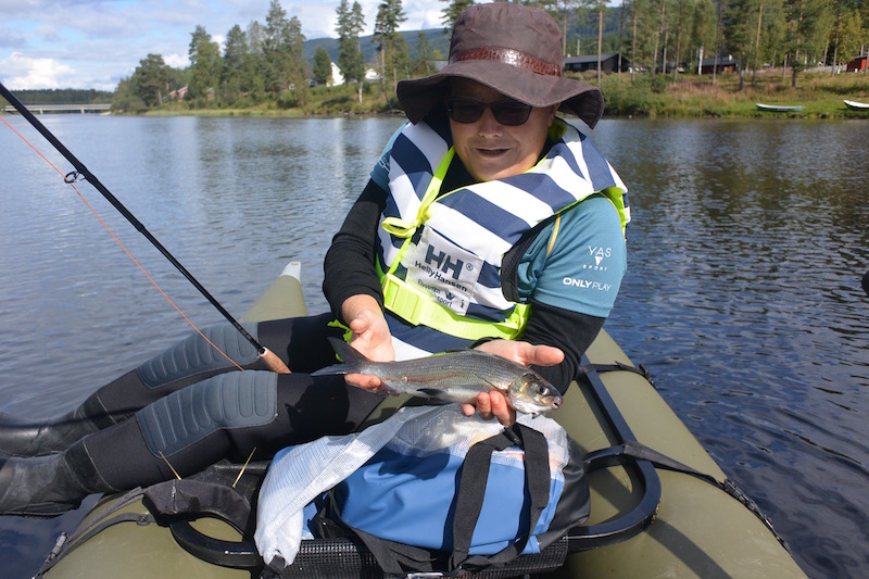 Helt 160820 rena tur rita fisk
