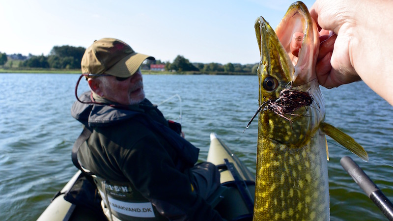 160925 glenstrup gedde kaj