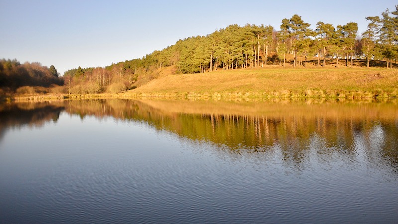 161202 milldam sunshine