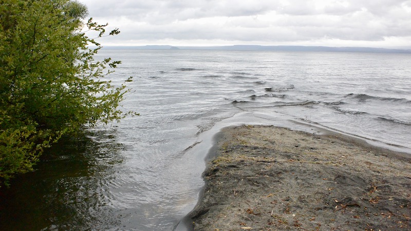 170119 lake taupo riverout