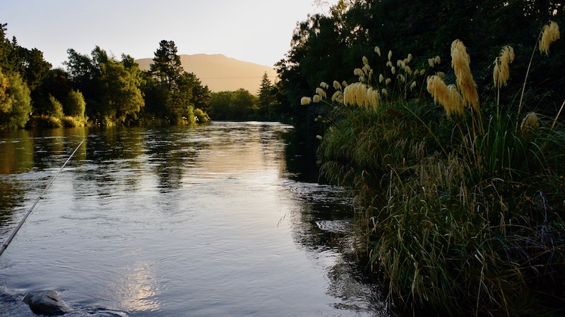 Turing River New Zealand 170123 turangi aften