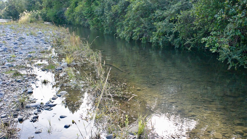 Sideløb 170124 turangi cleer