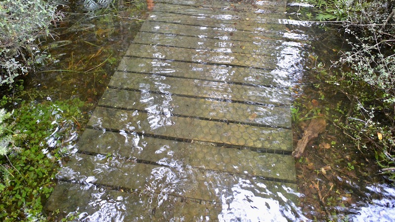 Høj vandstand 170202 lake brunner high bridge