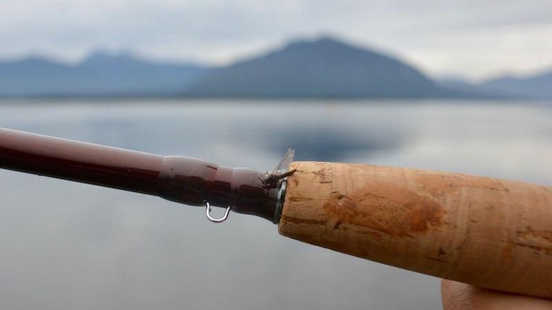 170202 lake brunner may fly