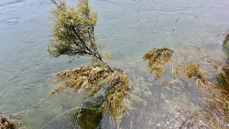 170209 river waiau vandstand high