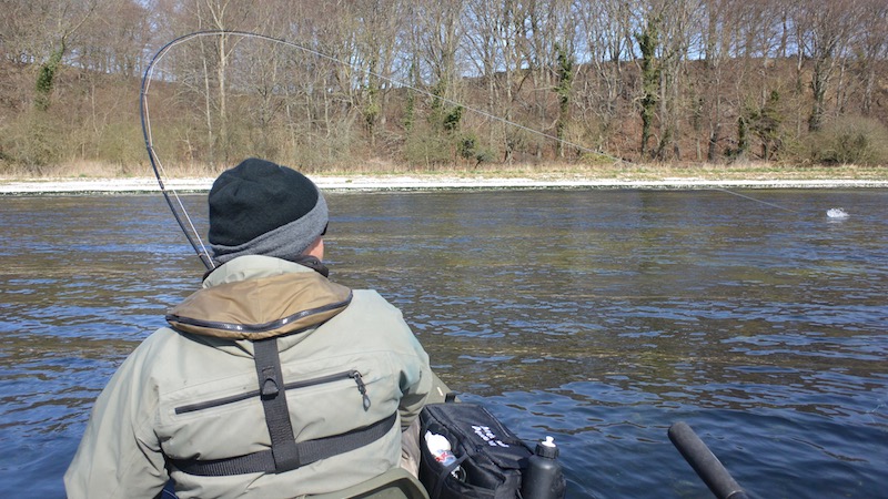 170407 stinesminde lars trout takes