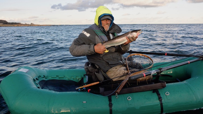 170418 sverige svarte trout