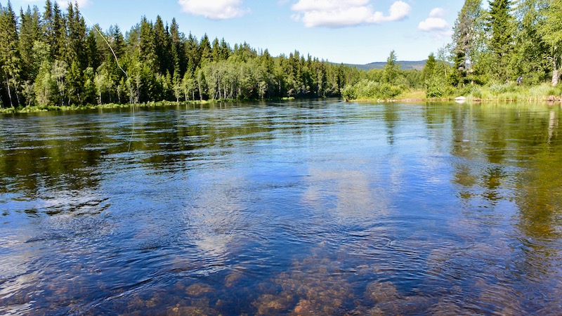 Rena 170722 rena upstream