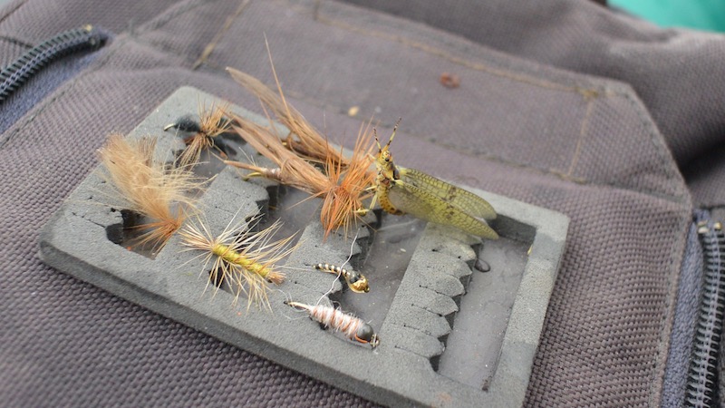 Fluer 170723 rena flies