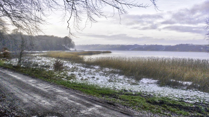 Ørnedalsbugten 171218 eagelbay