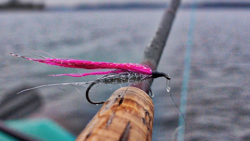 171230 stenarm pinky