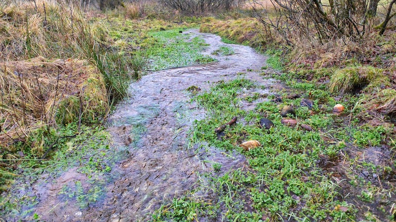 Gydebæk 180101 milldam creek
