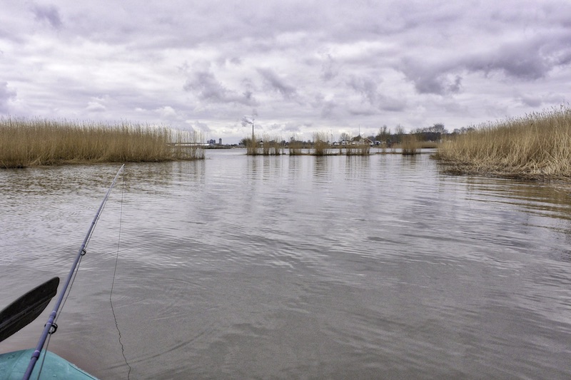 180814 bredningen havn randers