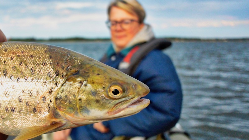 Ørred 150601 udbyhoj trout tina