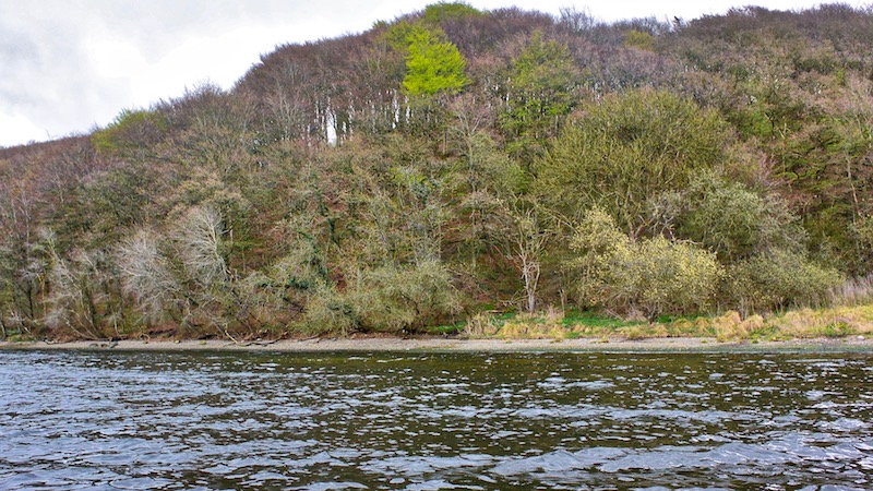 180424 ornedalen nyudsprunget