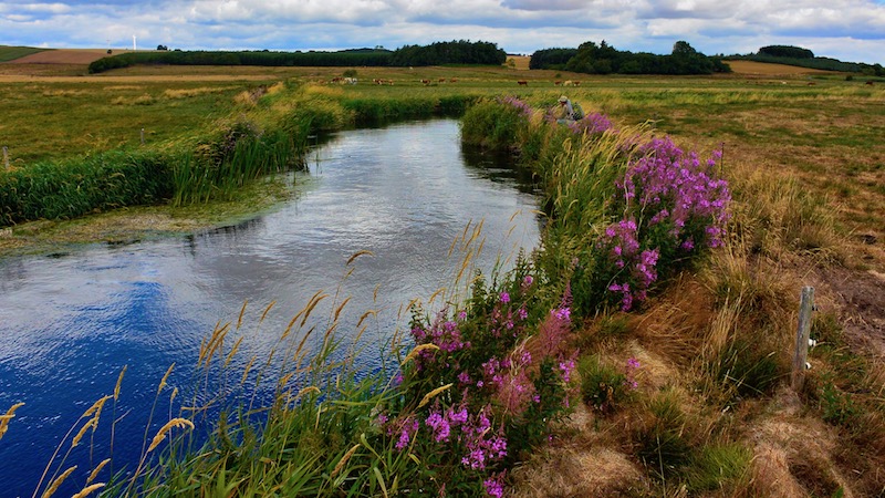 180722 lindenborg fiskeri