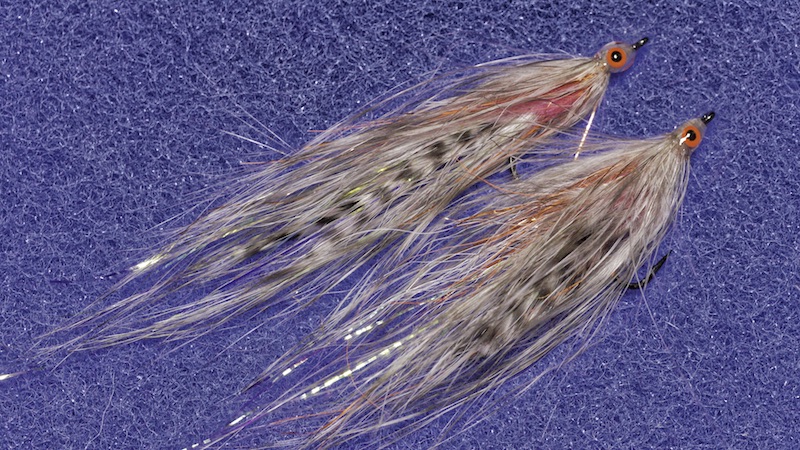 180727 vesterhavet havaborre fluer