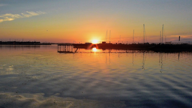 Udbyhøj 180802 udbyhoj sunrice