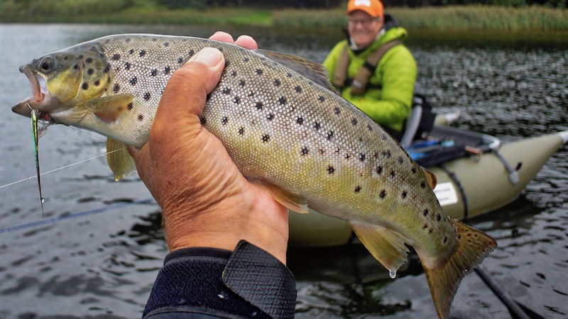 180824 ornedalen lars trout