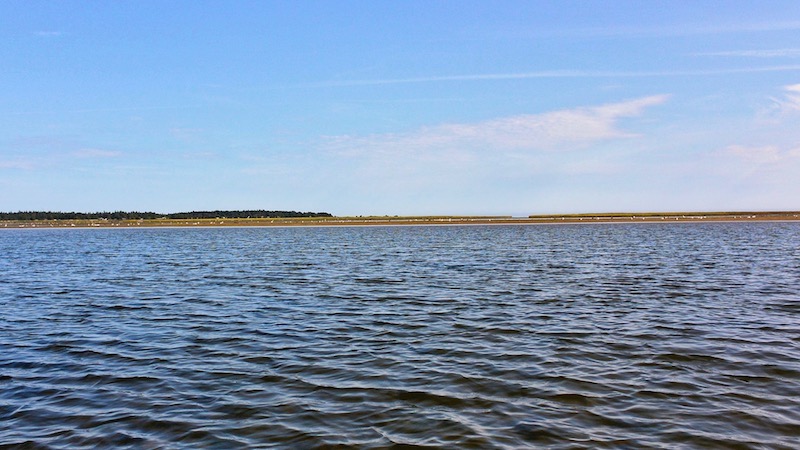 Randers Fjord 180904 udbyhoj vadehav