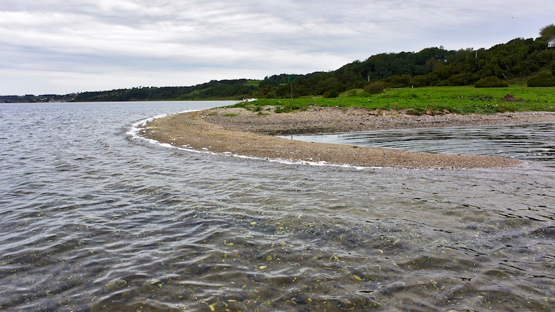 Mariager Fjord 180916 ornedalen nord odde