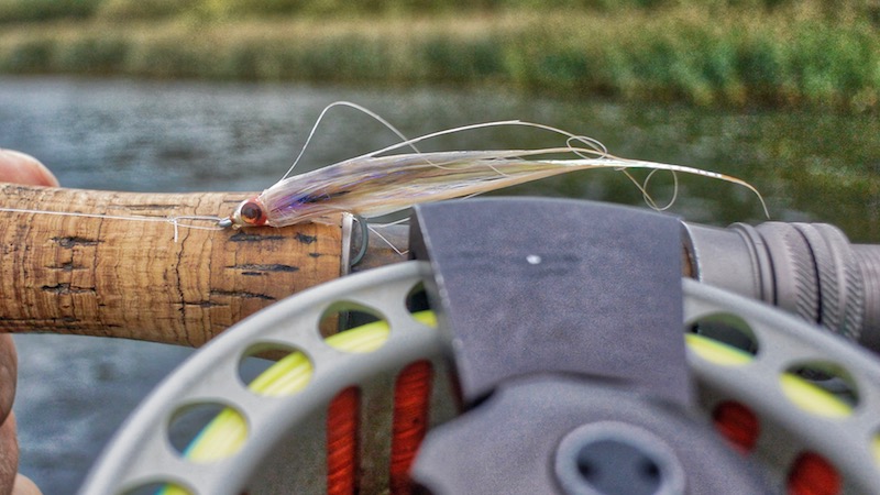 X-Streamer 180927 ornedalen x streamer