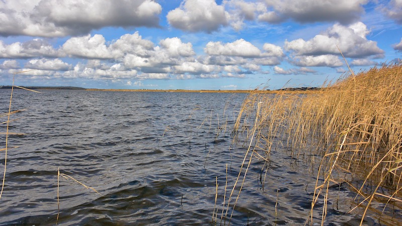 181007 kara stenrev siv