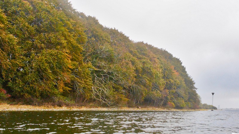 181010 stenarm stinesminde fall