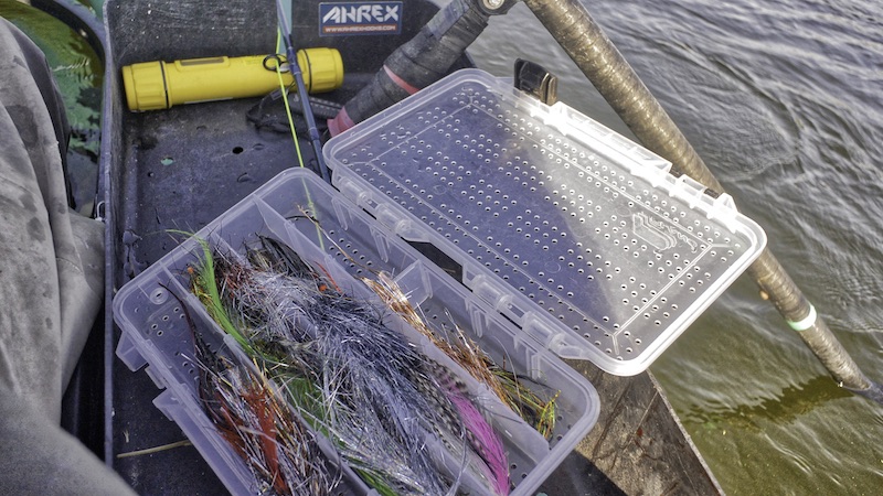 Geddefluer 181014 glenstrup pikefly