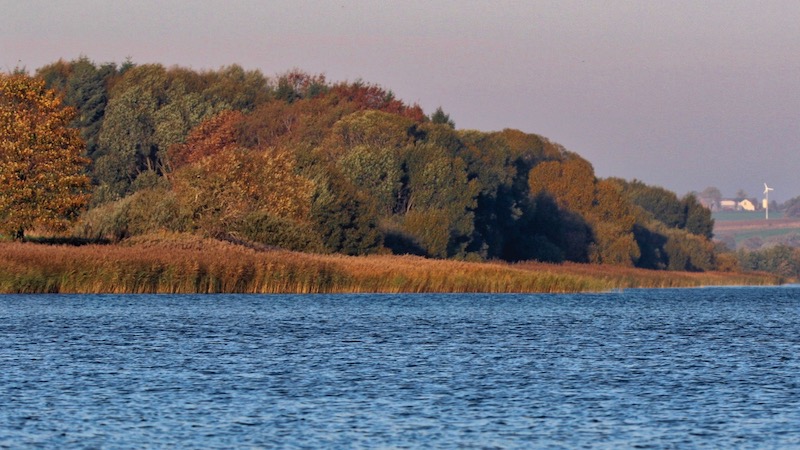 Glenstrup Sø 181014 glenstrup sydsiden