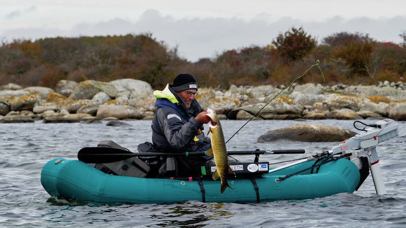 181021 torsterberge mosqeeto hl gedde