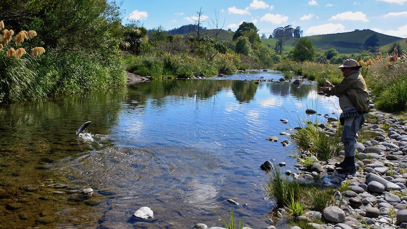 Bjarne Fries fighting a rainbow trout 181117 tongariro river fries fight
