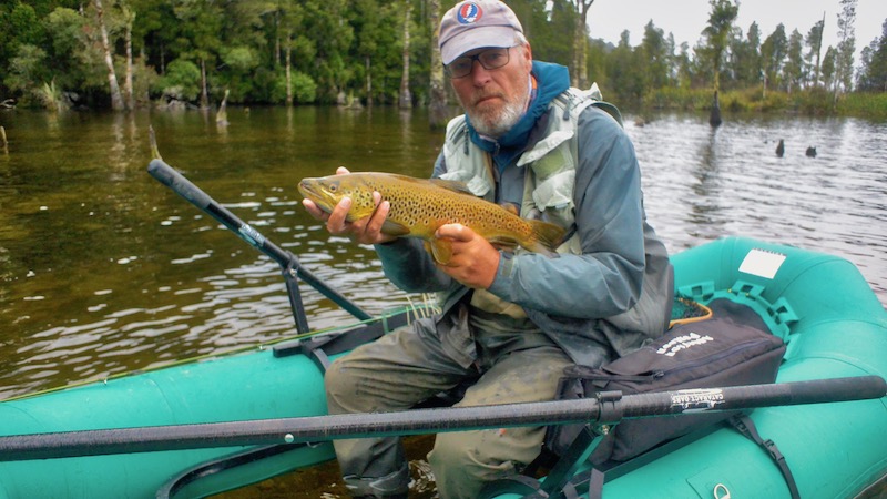 181226 brunner hl trout